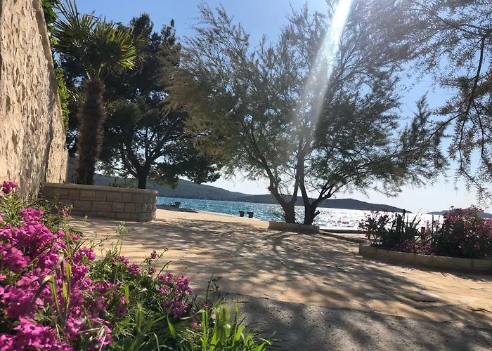 Bila A * ז'אבוריץ'